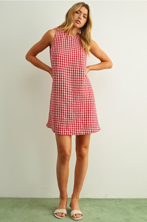 Gingham Pattern S/L Open Back Detail Dress