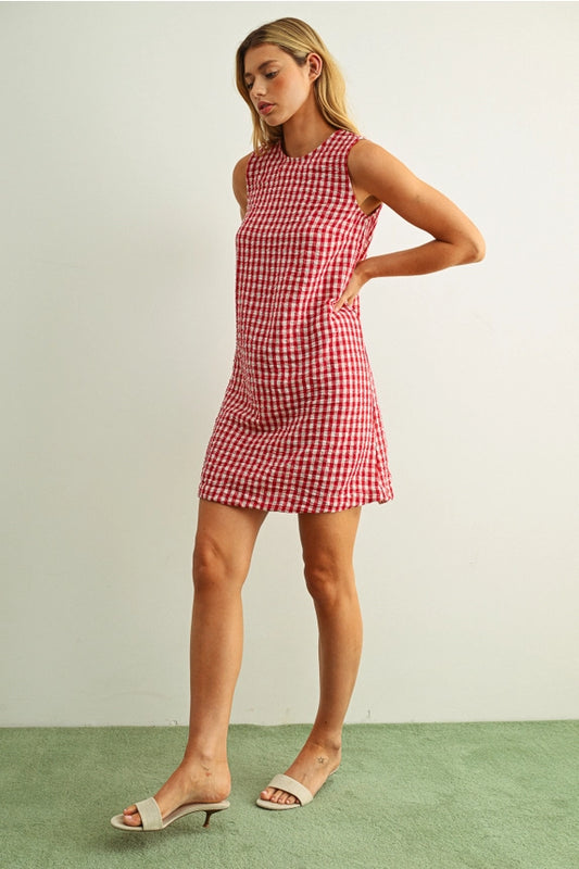 Gingham Pattern S/L Open Back Detail Dress