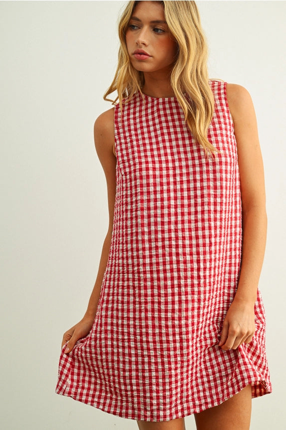 Gingham Pattern S/L Open Back Detail Dress